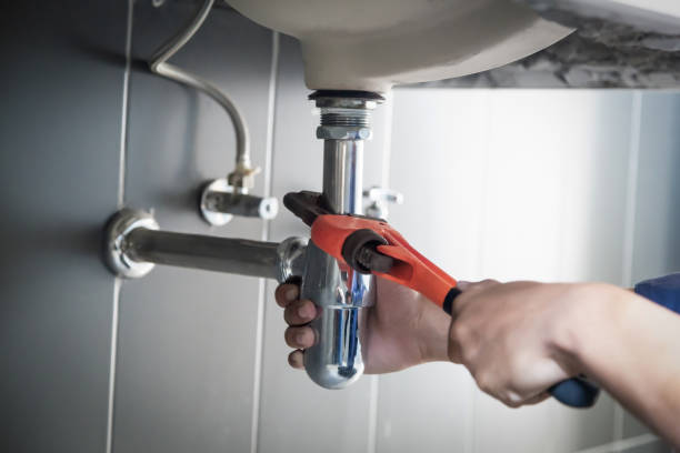 Best Plumbing Inspection Services  in Litchfield, IL