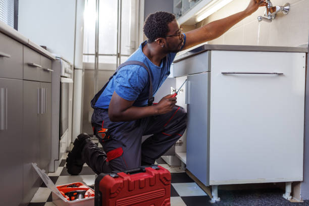 Best Faucet Repair  in Litchfield, IL